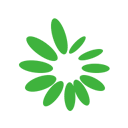 涩涩视频在线播放